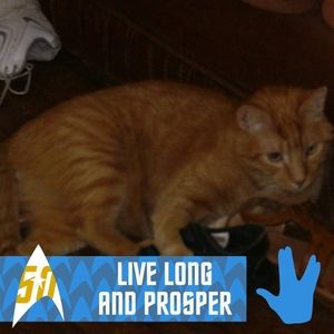 Meet your Posher, Audra